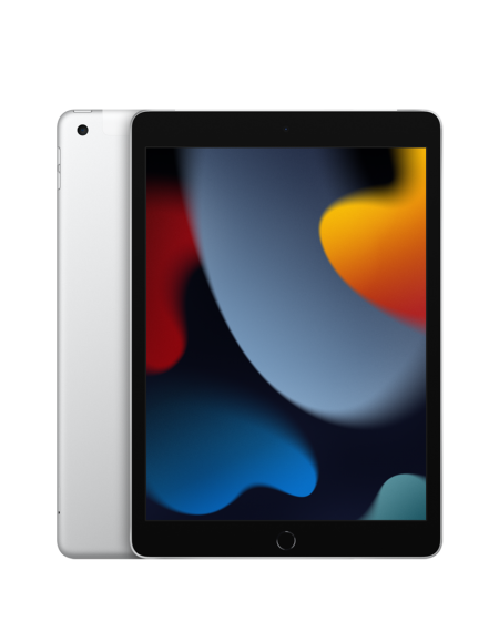 10.2-inch iPad Wi-Fi + Cellular 256GB - Silver